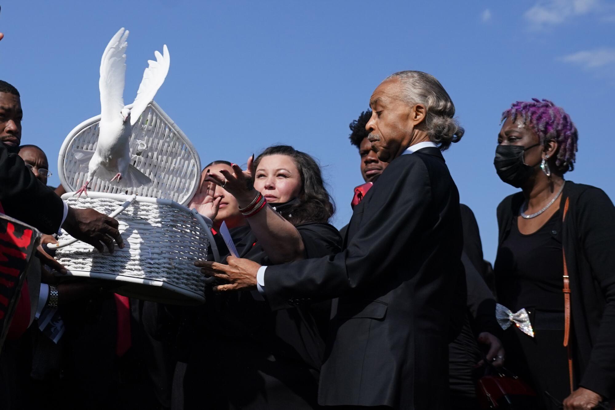 A dove flies out of a white woven basket held by several people as the lid is opened 