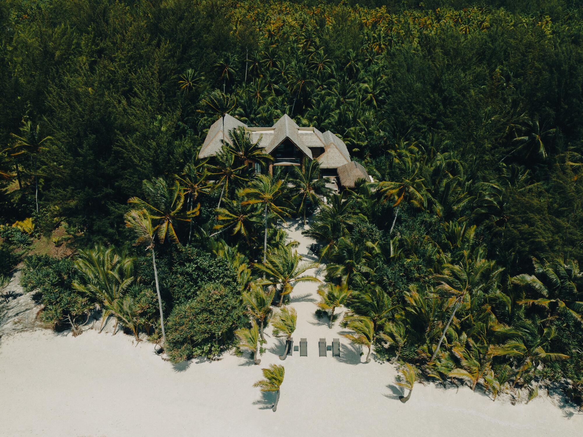 Lush plants surround the Brando resort. 