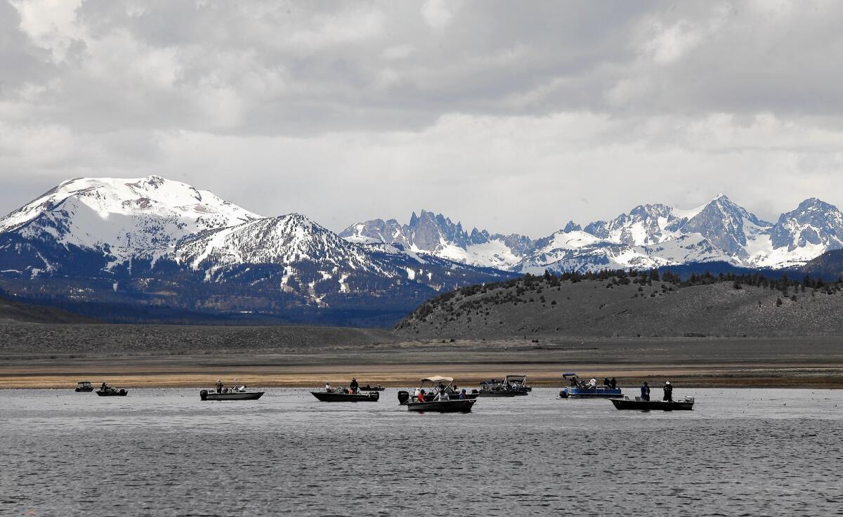 Fishing boats get into position on McGee Bay in Crowley Lake as the Minaret mountains, center, and Mammoth Mountain, left, fill in the backdrop. “Either they give you good weather or they give you fish,” Dick "Hoagie" Hoagland says of the lake. “They don’t give you both.”