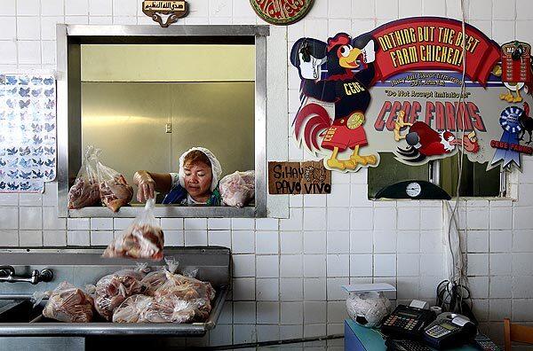 Josefina Martinez tosses bags of chicken for sale at Al Salam Polleria in Los Angeles. The butcher shop, started by Muslim Egyptian immigrants in 1984, sells freshly butchered poultry killed according to religious law, called halal.