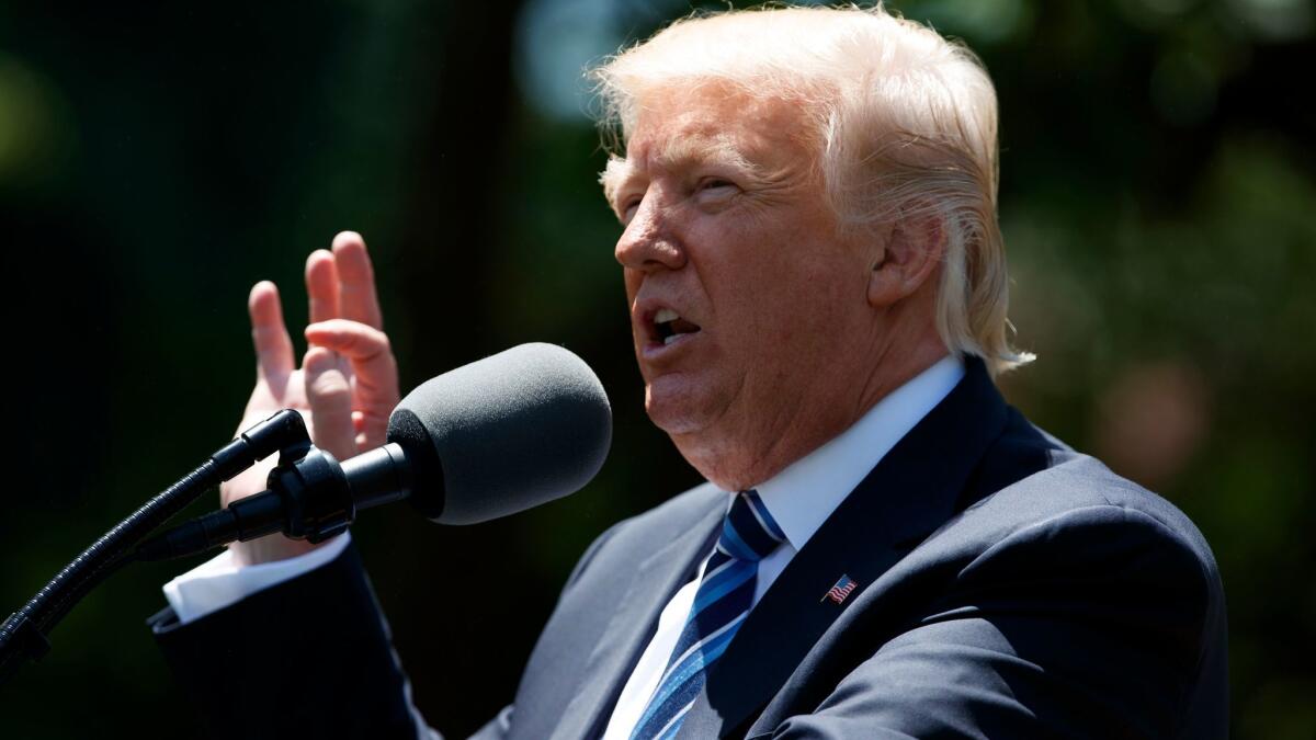 President Trump speaks in the Rose Garden of the White House. He recently said the "country needs a good shutdown" of the federal government.