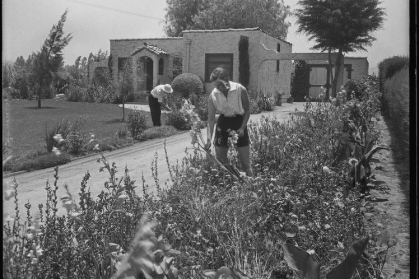 Members of the Wood family pick flowers at their small farm home in the San Fernando Valley in 1935.