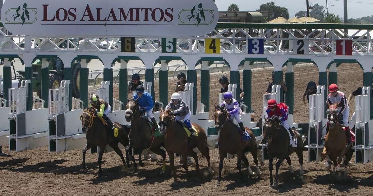 Five more horses die at Los Alamitos amid a viral disease confined to one barn