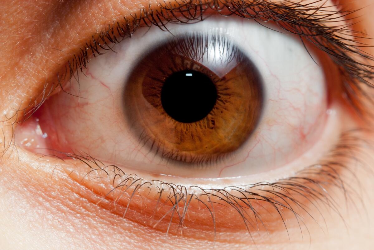 macro close-up of an wide open eye