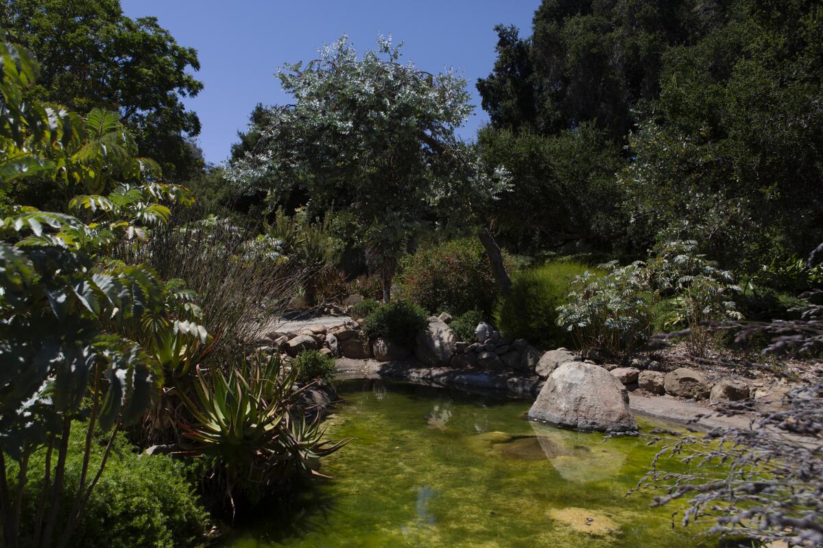 Trees and a rock-lined pond at Taft Gardens & Nature Preserve.