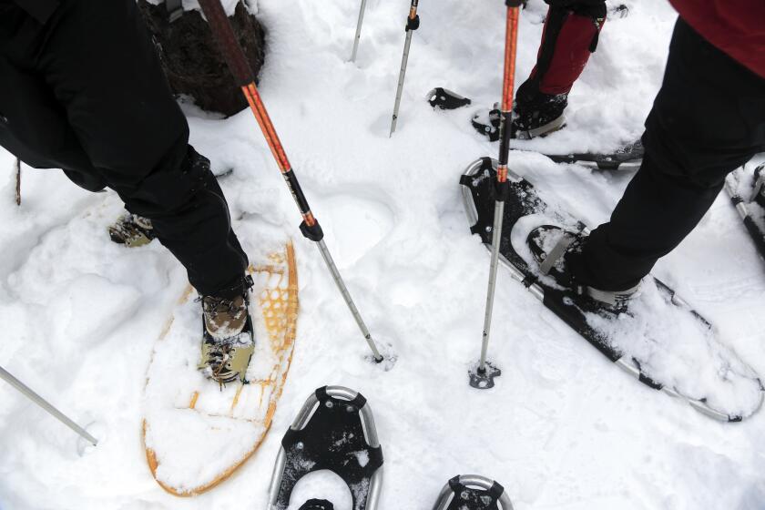 Traditional and modern snowshoes in Alberta, Canada.