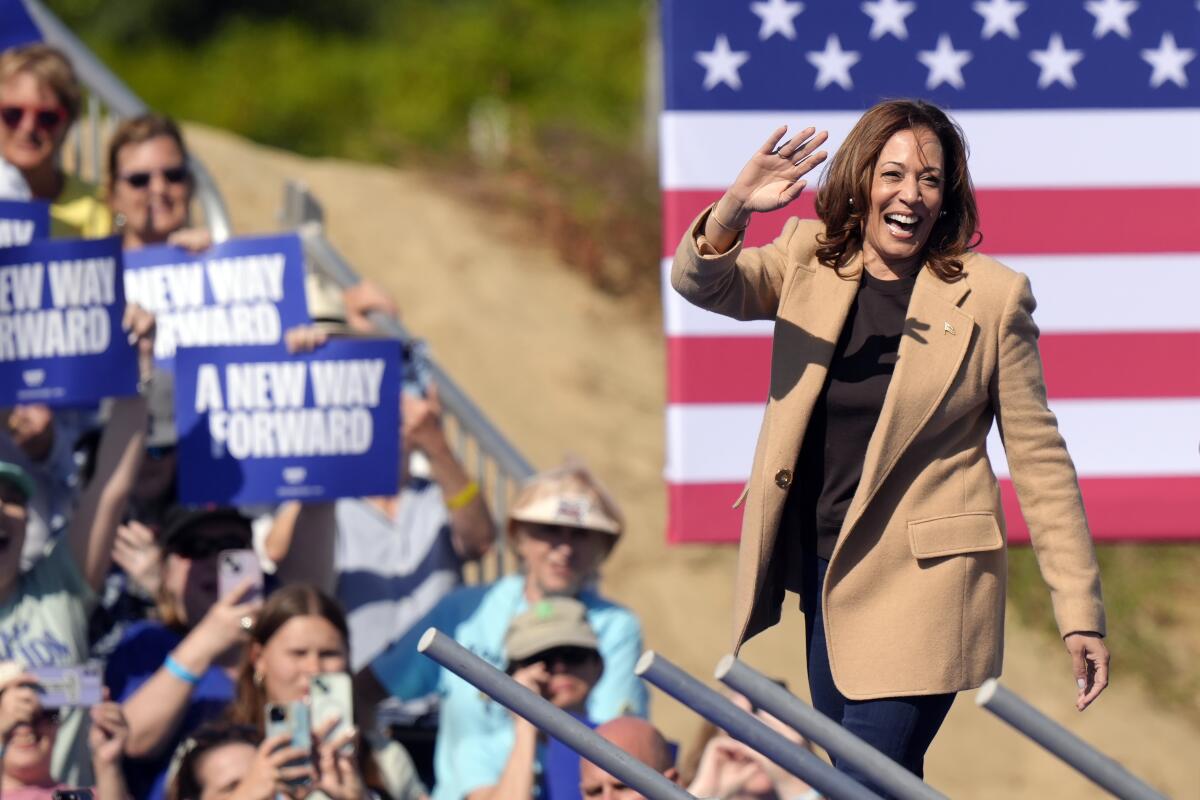 Kamala Harris waves, with sign-holding fans and a large flag in the background 