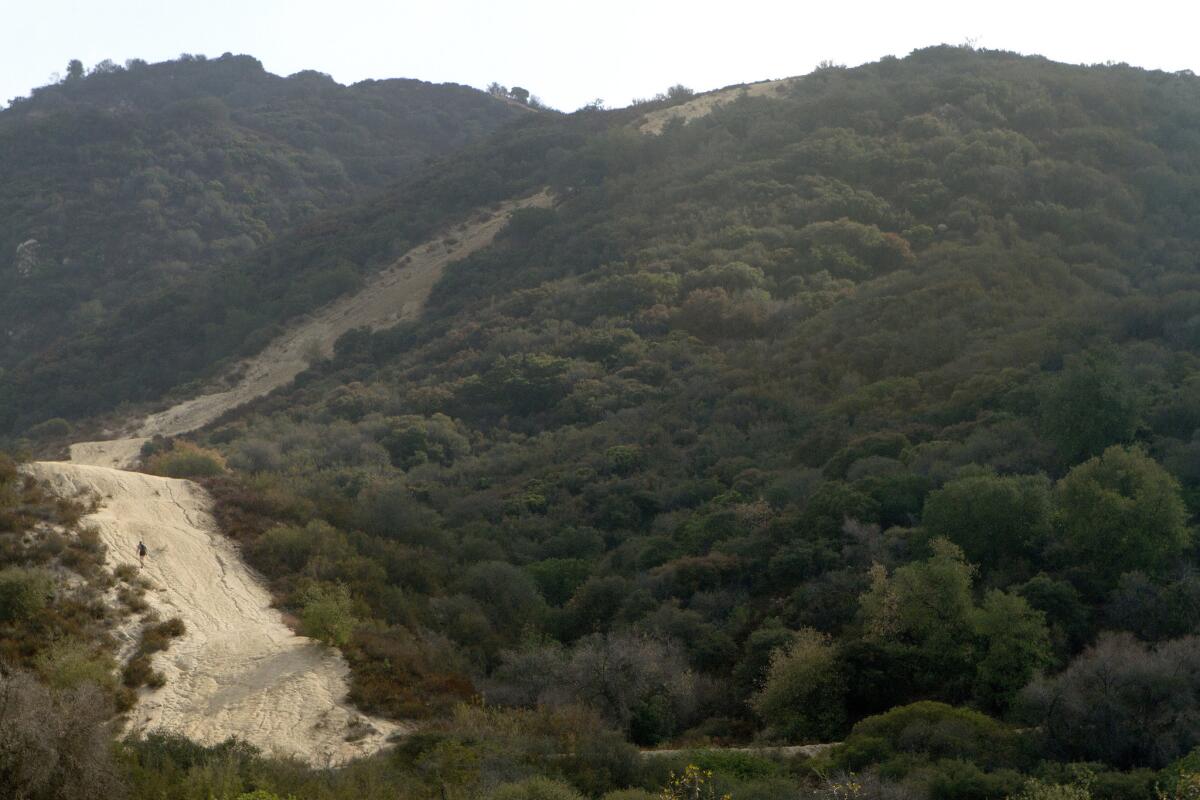 A hiker takes the steeper route up La Tuna Canyon.