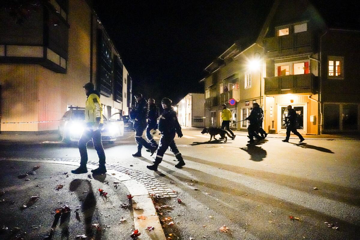 Officers in uniform, including one with a dog, walk on a road near buildings with lights on at night