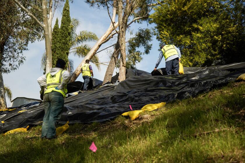 San Diego, California - February 16: A hillside at the rear of homes in the 4200 block of Trieste Drive suffered storm-related damage. A crew of Urban Corps of San Diego County work around the area in Carlsbad on Friday, Feb. 16, 2024 in San Diego, California. (Alejandro Tamayo / The San Diego Union-Tribune)