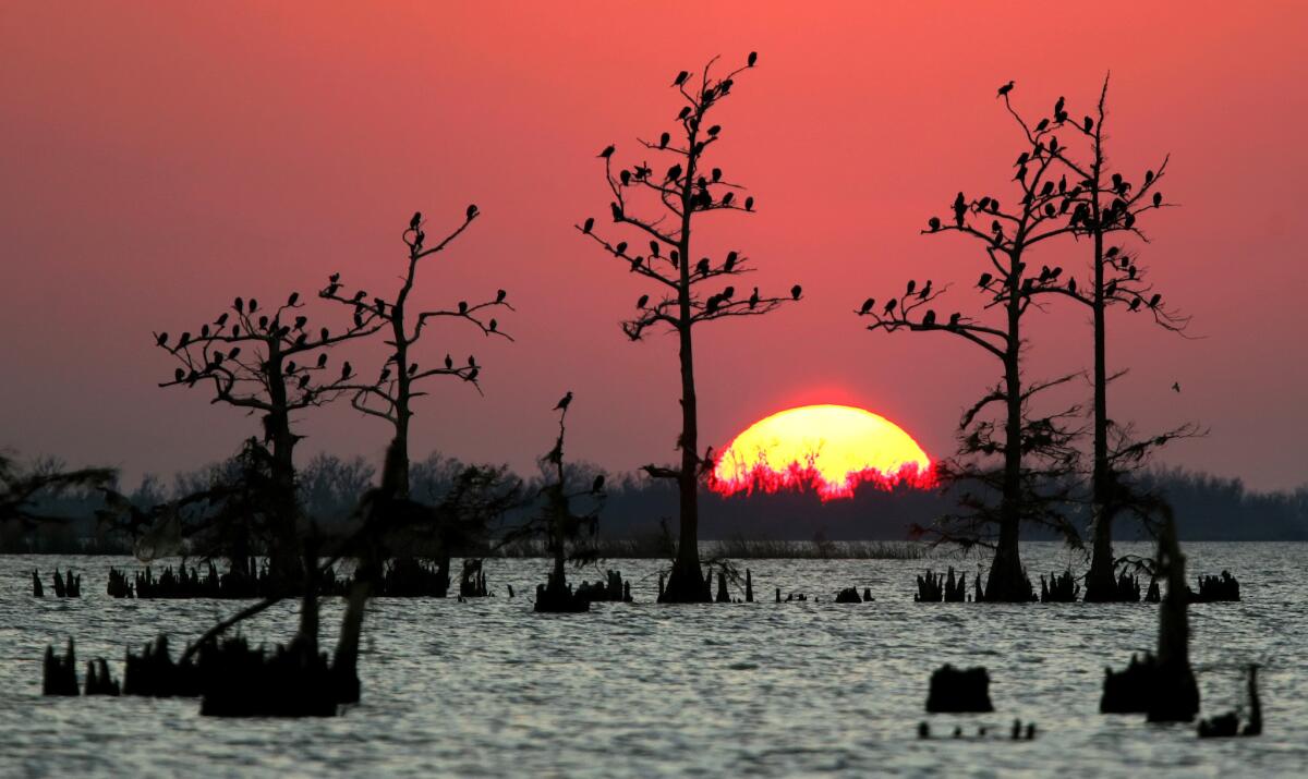 The sun sets over flooded coastal wetlands in Venice, La.