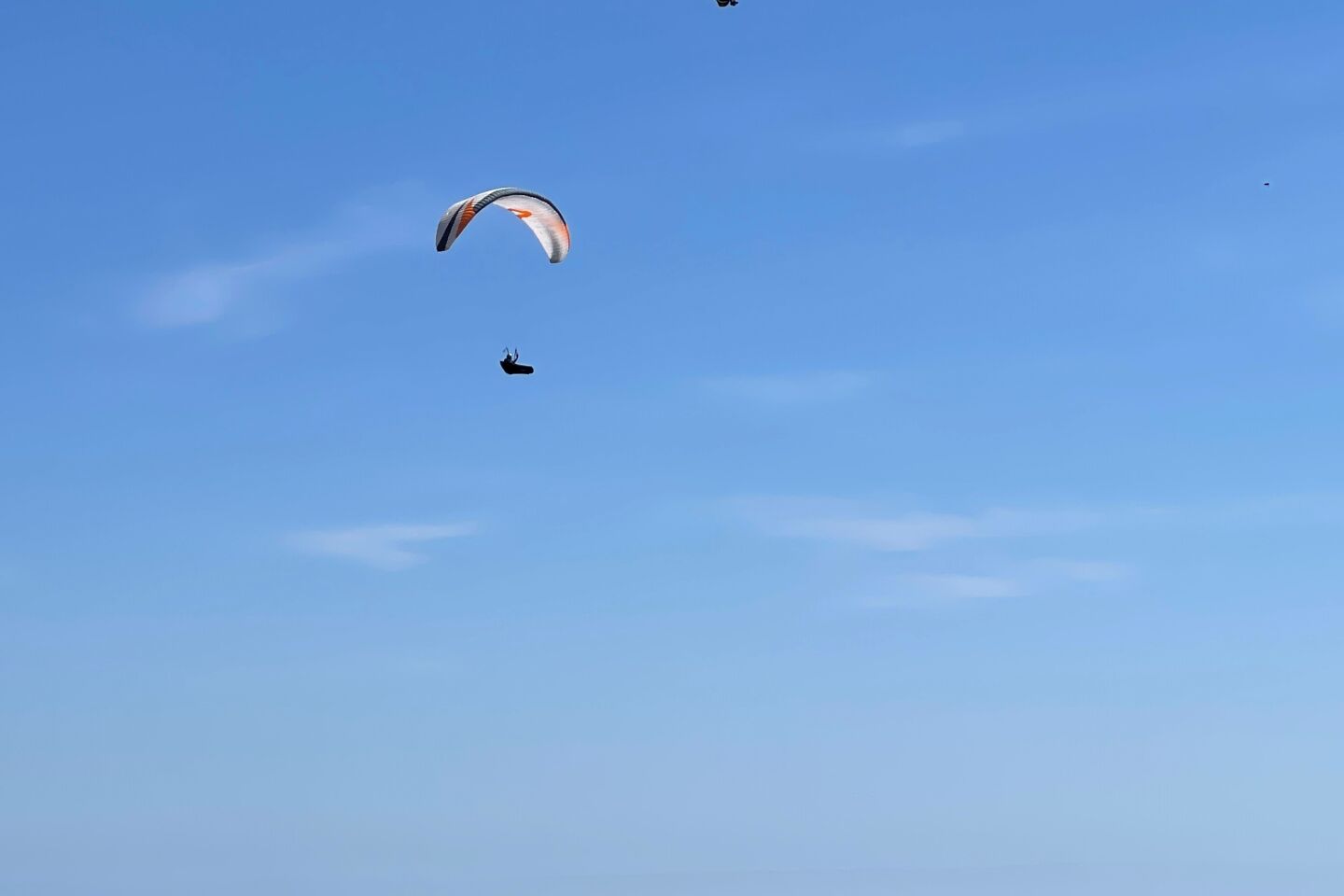 Kate Gibfried paragliders.jpg