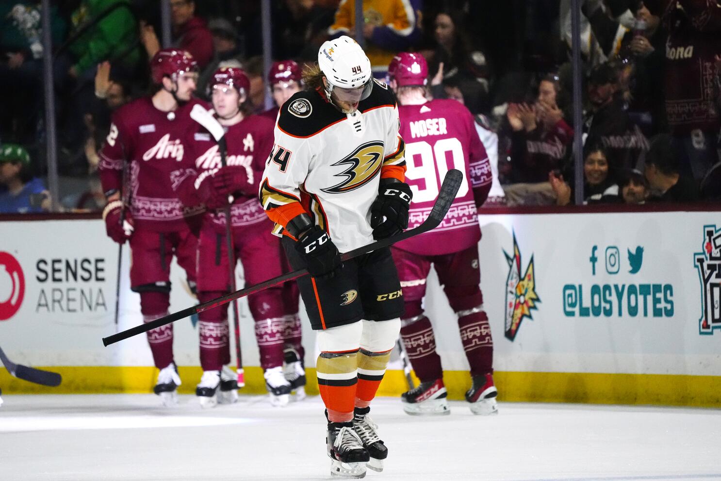 Boyd's goal helps Arizona Coyotes beat Minnesota Wild, end losing