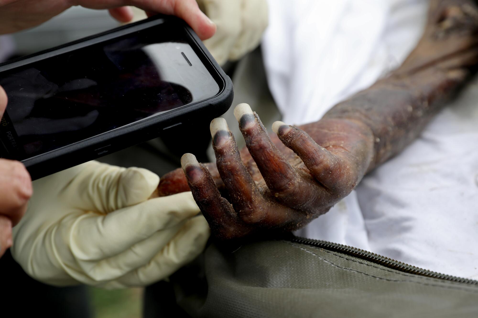 The hands of a corpse are photographed with a phone.