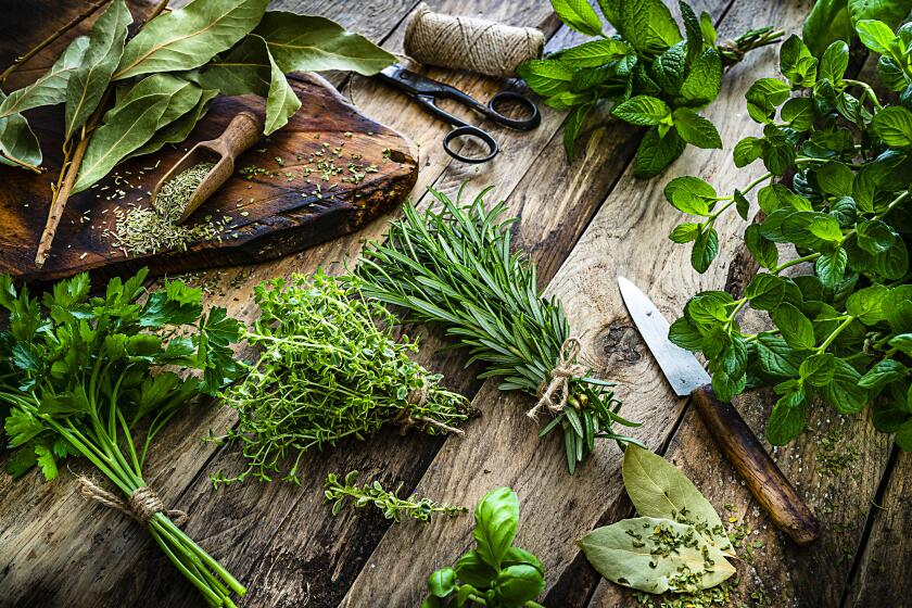 High angle view of a rustic wooden kitchen table with fresh herbs for cooking. The composition includes rosemary, parsley, basil, spearmint, peppermint, bay leaf, sage, oregano and thyme. Predominant colors are green and brown. High resolution 42Mp studio digital capture taken with SONY A7rII and Zeiss Batis 40mm F2.0 CF lens