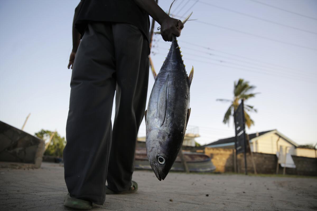 New Indian Ocean fishing rules in big win for coastal states - The