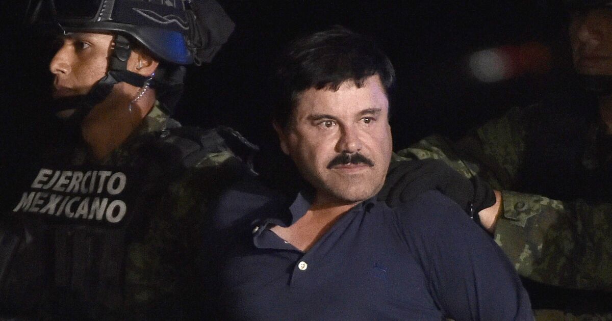 Meksikalı El Chapo’nun oğulları karşı çıkıyor: Fetanil üretmiyoruz, kurbanları kaplanlara besliyoruz