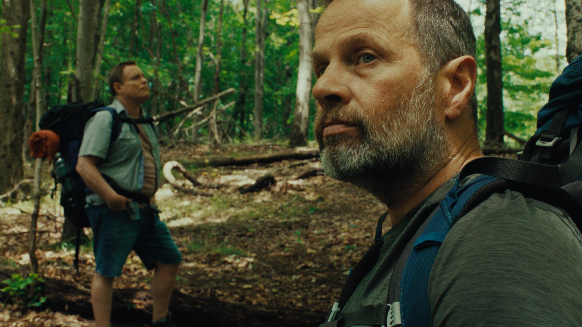 Two men walk through the forest.