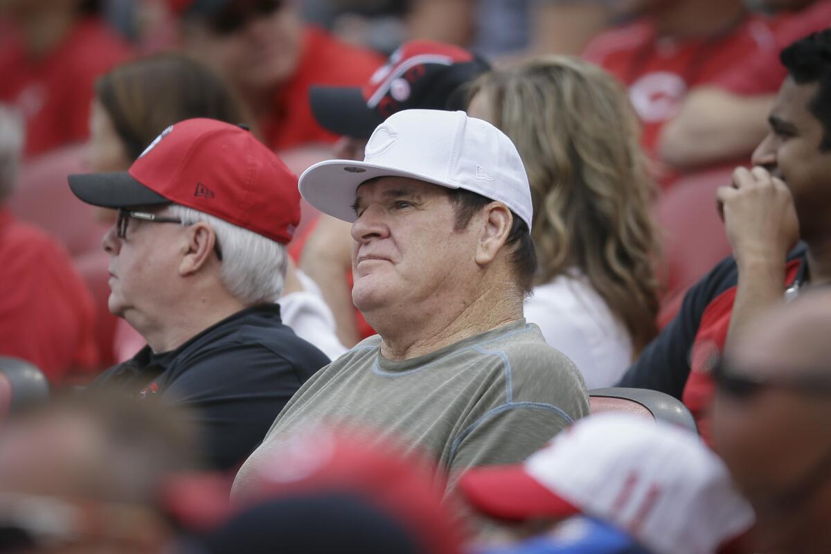 Former Cincinnati player and manager Pete Rose watches a baseball game between the Reds and Washington Nationals on May 31. A new report indicates Major League Baseball’s all-time hits leader bet on Reds games while he was still a player for the team.