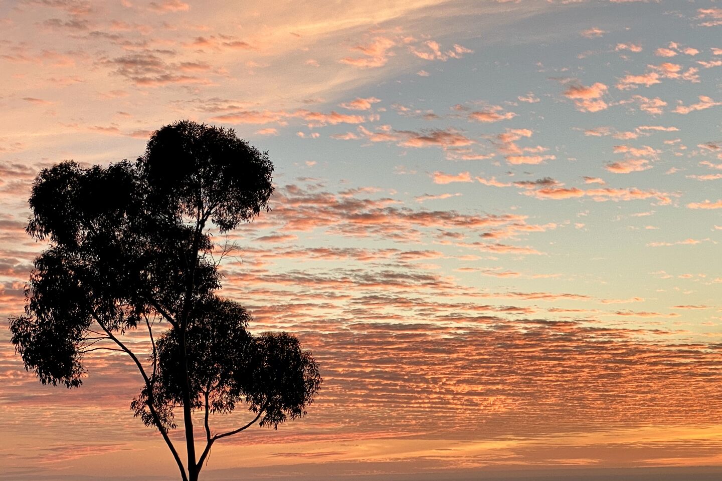Barry Levine sunset.jpg