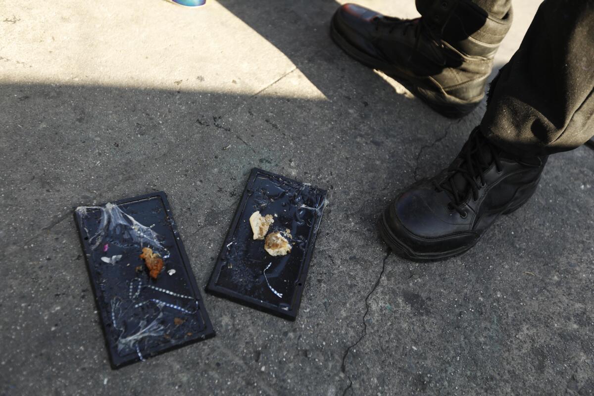 Someone in black shoes is shown near two glue traps on a city sidewalk.