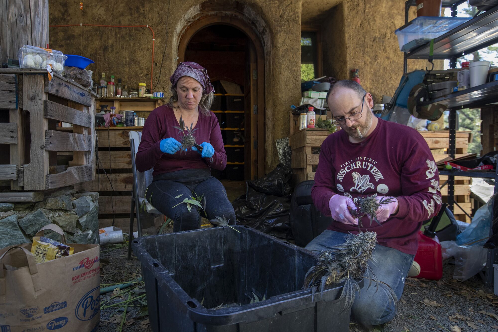 Wendy Kornberg and James Beurer sit and trim cannabis at their farm.