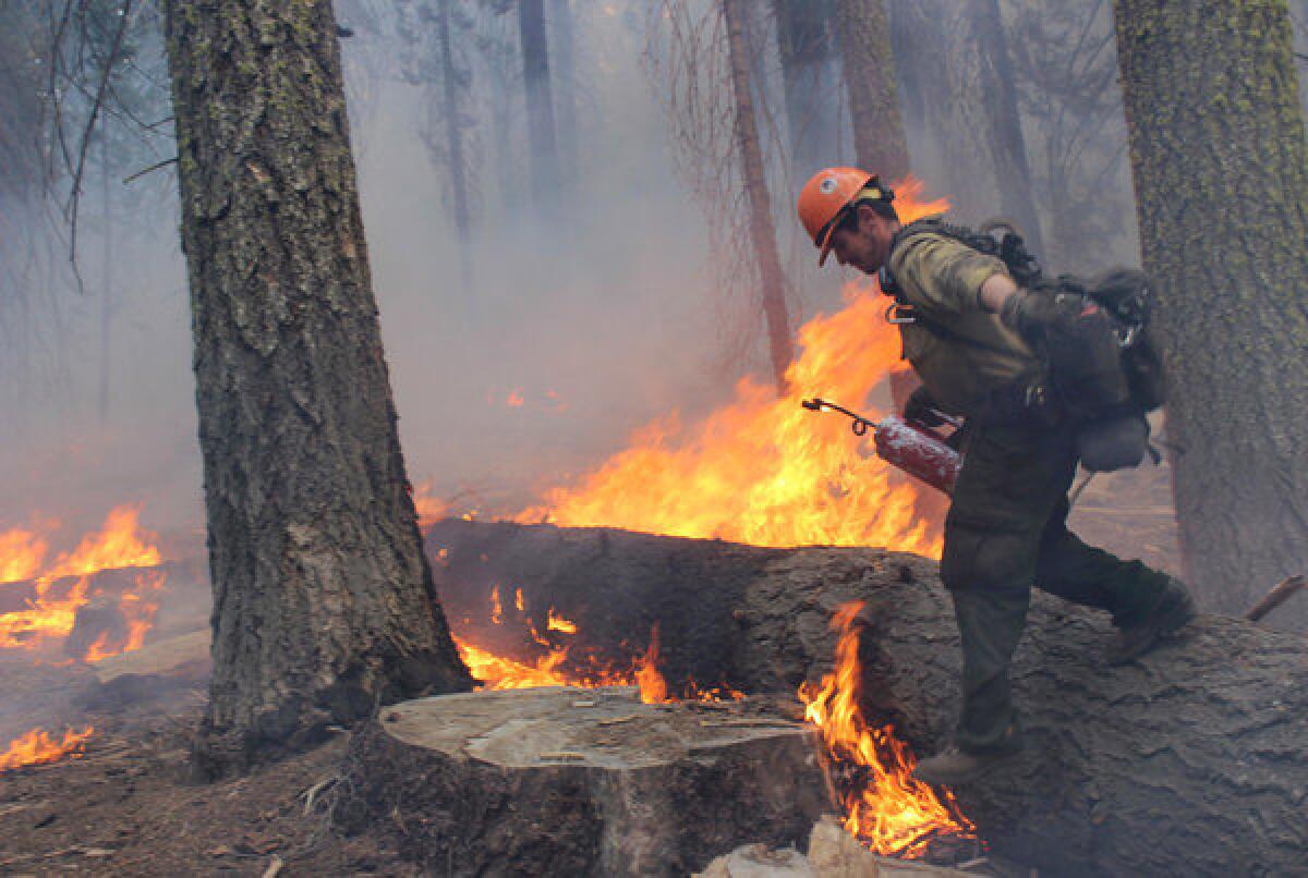 A firefighter walks near a burn area during operations against the Rim Fire near Yosemite National Park.
