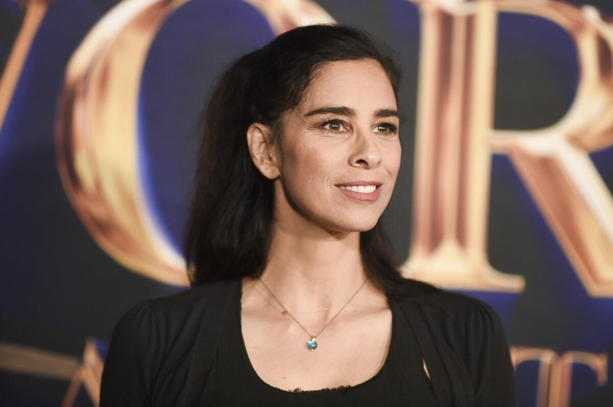 Sarah Silverman, with a partial updo and dressed in black, smiles for a photo.