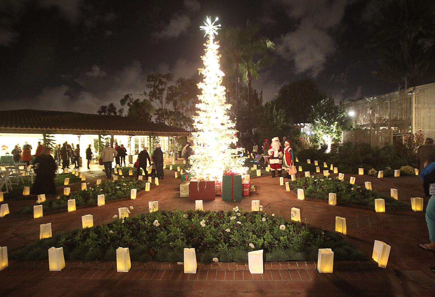 Santa and Mrs. Claus stand next to the centerpiece Christmas Tree surrounded by luminaries in the courtyard during the "Nights of a Thousand Lights" event hosted by Sherman Gardens.