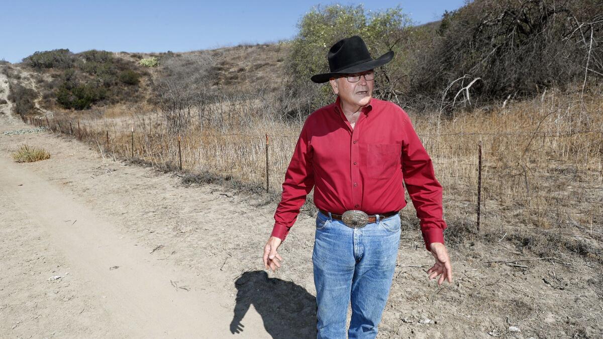 Frank Fitzpatrick walks the 800-acre pasture he manages in Silverado.