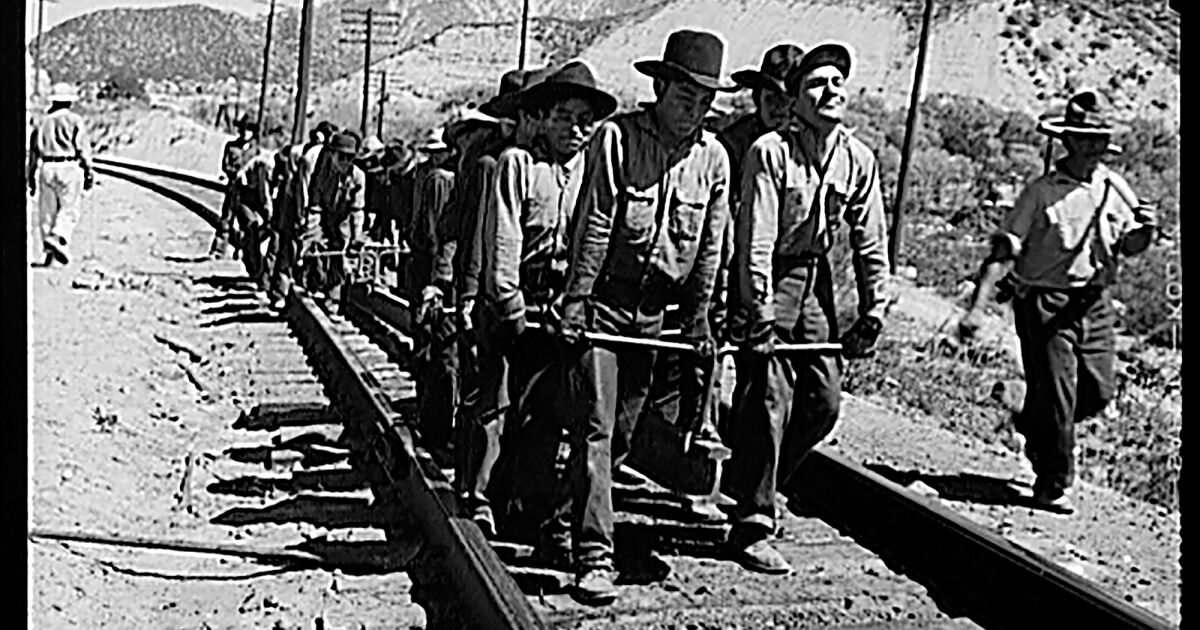 ‘California, Bir Köle Devleti’ zorla çalıştırmanın tarihini ortaya çıkarıyor