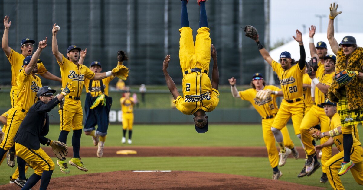 Meet the Savannah Bananas, who’ve captivated fans and MLB. ‘We exist to make baseball fun’