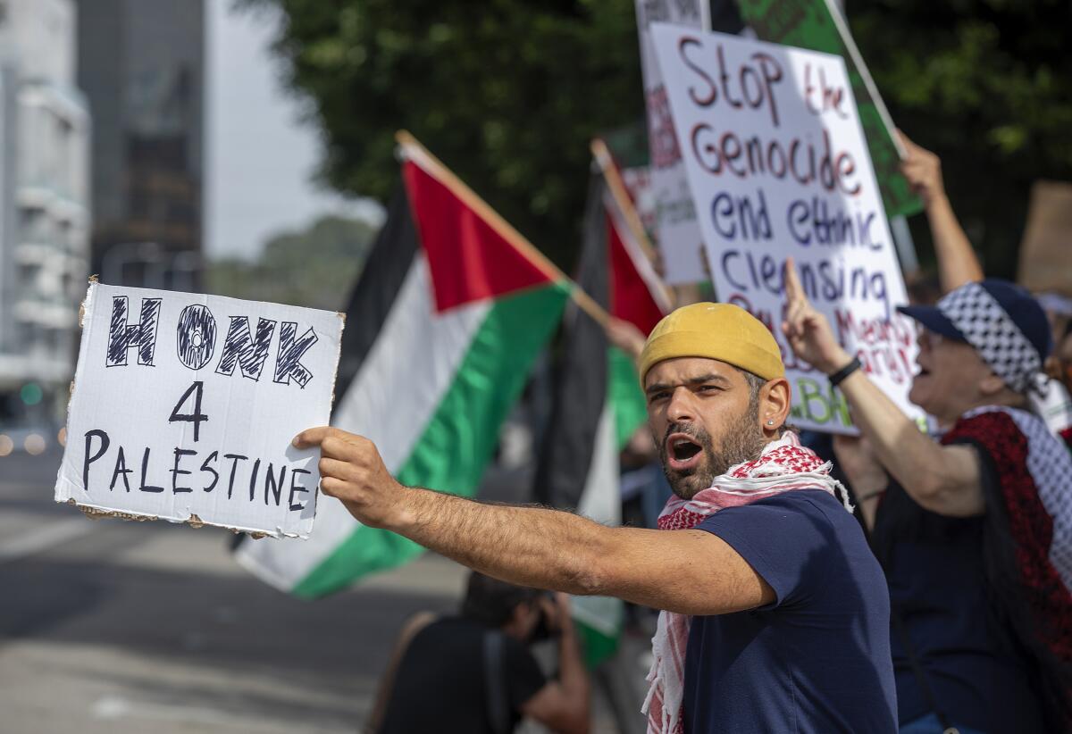 Demonstrators hold pro-Palestinian signs