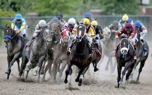 Preakness top of homestretch