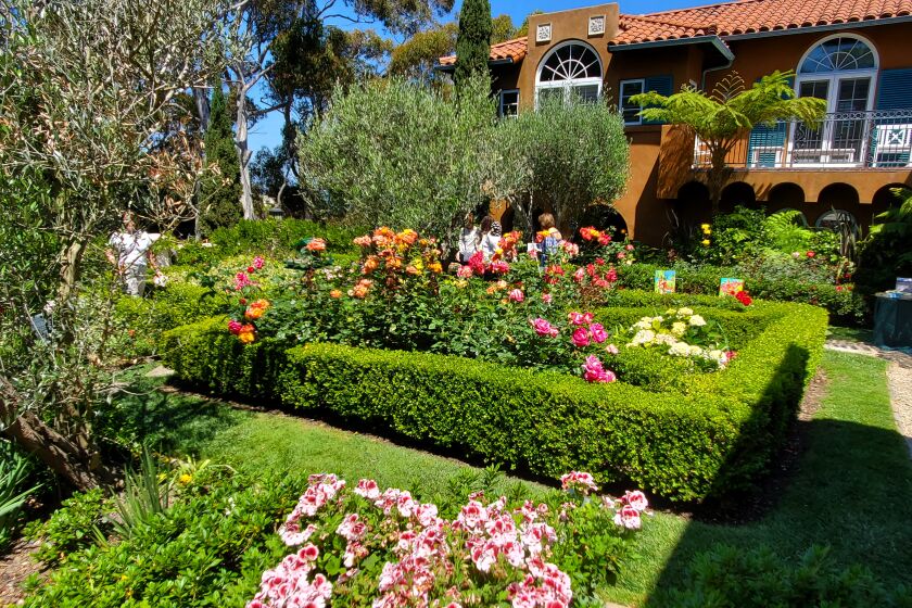 Roses and hedges are the focus of this garden featured in the La Jolla Historical Society's Secret Garden Tour on May 14.