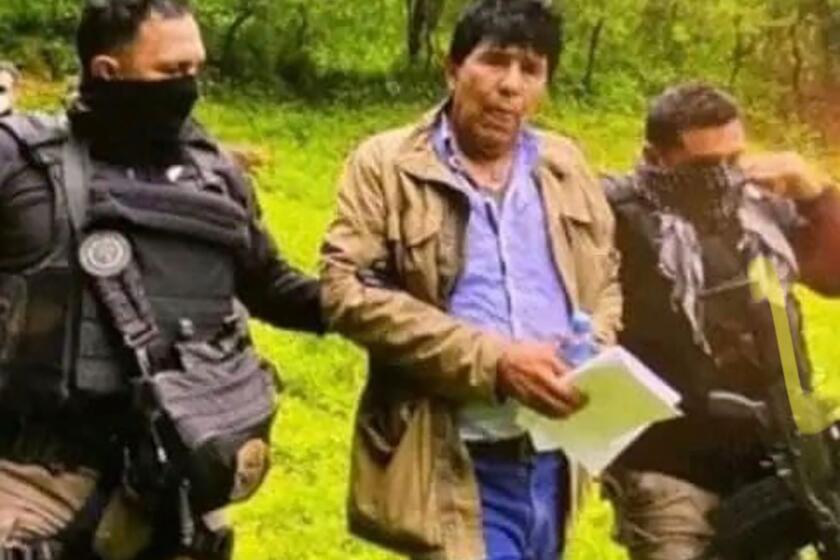 In this government handout photo provided by Mexico's Secretariat of the Navy, agents escort drug trafficker Rafael Caro Quintero, in Sinaloa state, Mexico, Friday, July 15, 2022, captured deep in the mountains of his home state. It was a 6-year-old bloodhound named “Max” who rousted Caro Quintero from the undergrowth. (Mexico's Secretariat of the Navy via AP)