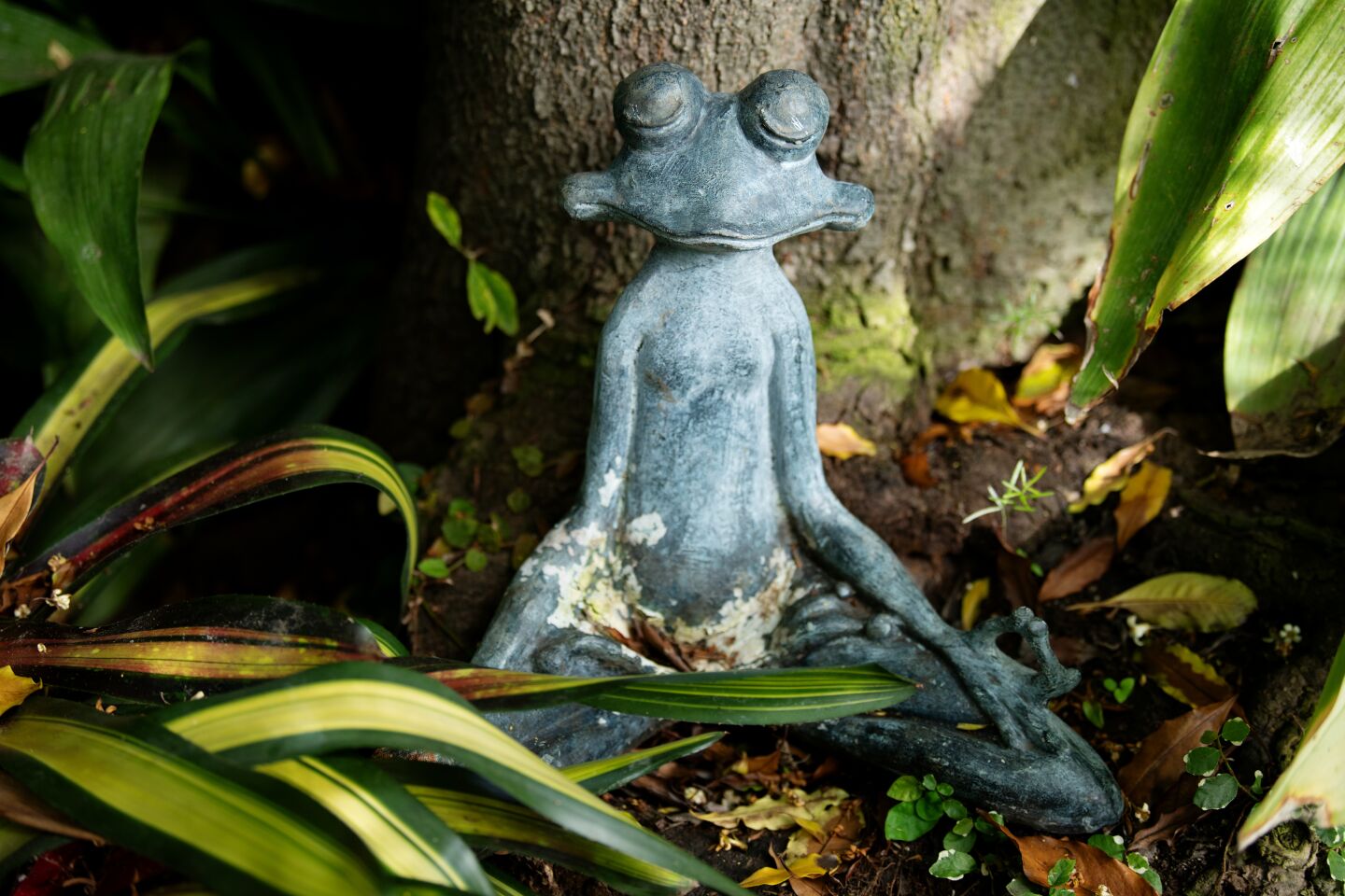 Add surprises to your garden