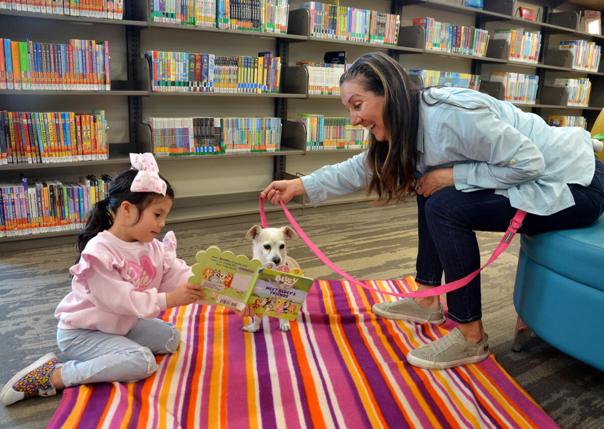 Bark Program Corona del Mar library welcomes BARK program to help kids hone their ...