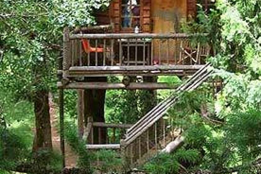 Peacock Perch is one of 11 treehouses guests can rent at Out n About Treesort in Oregons Siskiyou Mountains, about 20 miles from the California border. The resorts bathhouse pavilion is on the ground level.