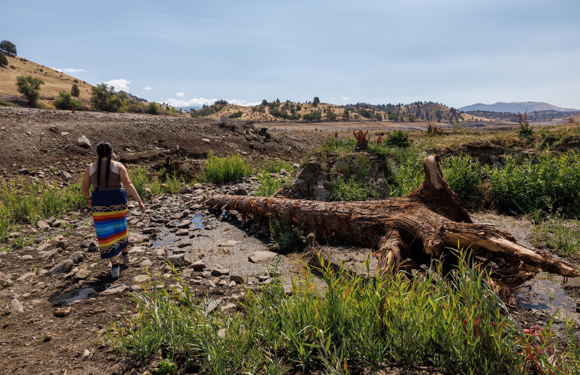 Brook Thompson, a Yurok tribe member, walks along Camp Creek.