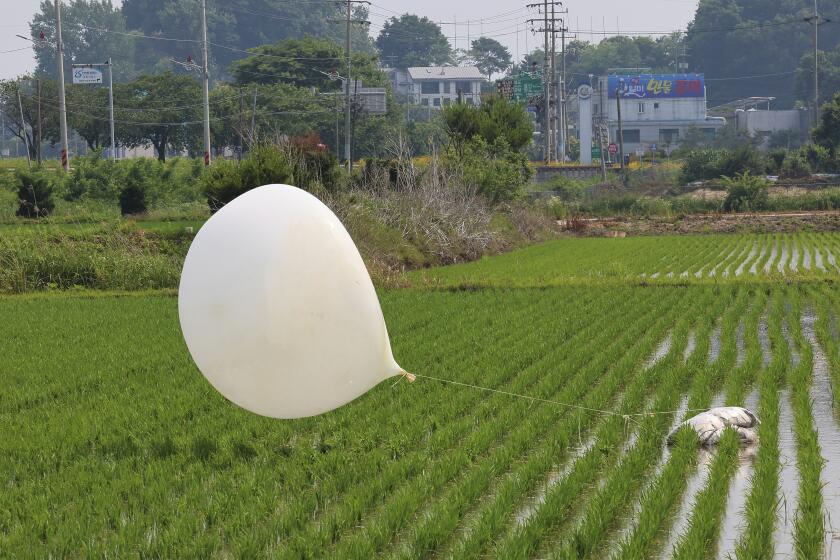 FILE - A balloon presumably sent by North Korea, is seen in a paddy field in Incheon, South Korea, on June 10, 2024. (Im Sun-suk/Yonhap via AP, File)