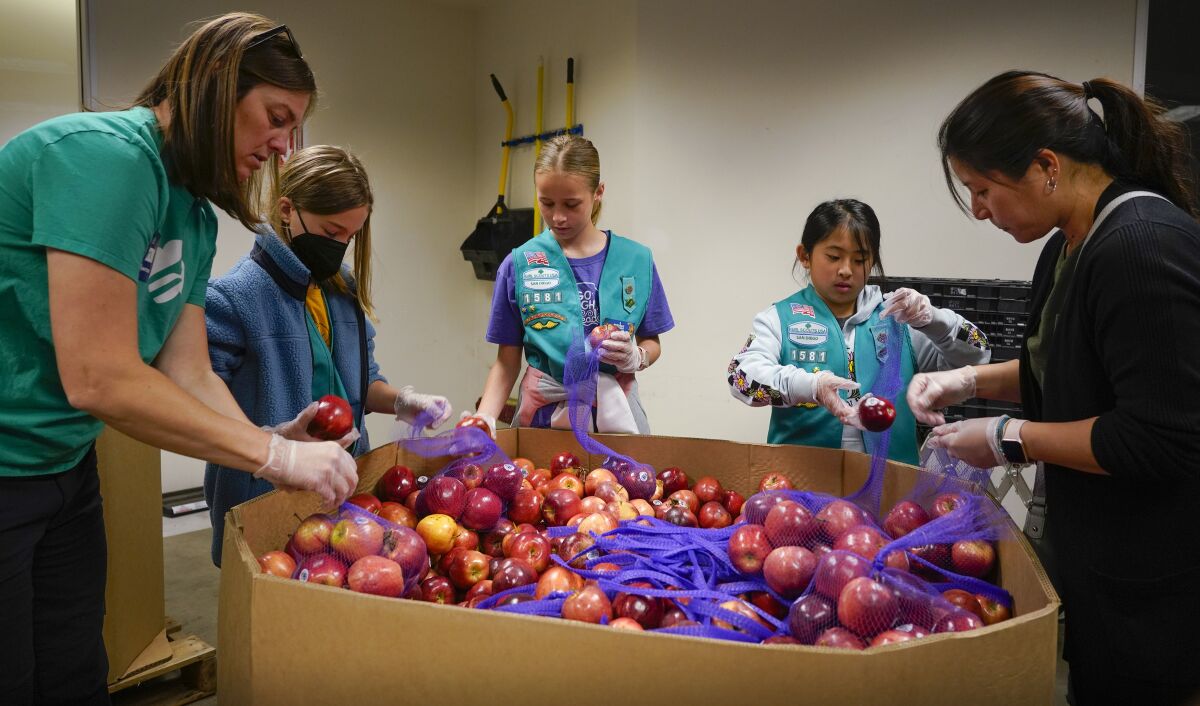 Girl Scouts from around San Diego County sorted apples at Feeding San Diego