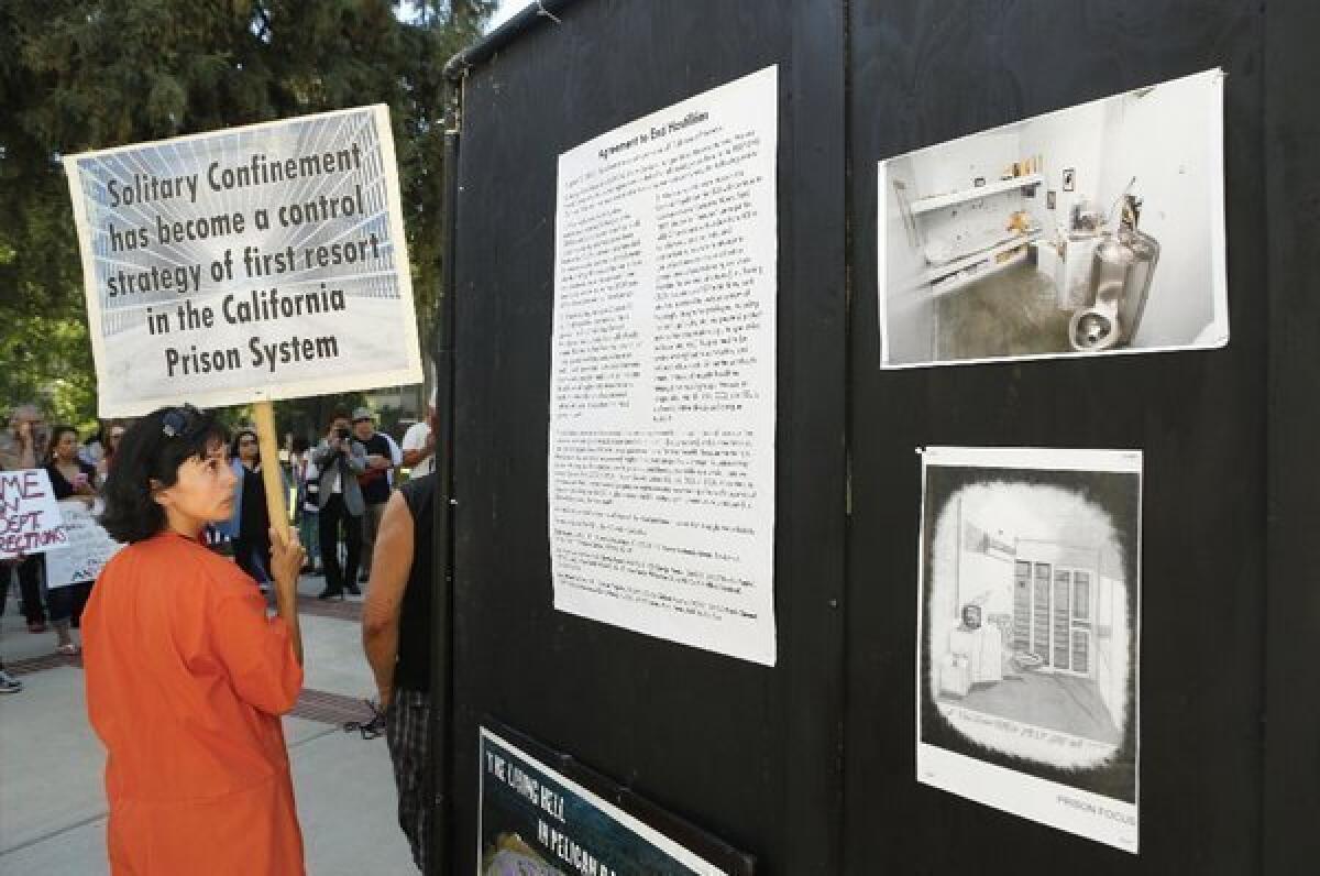 Diya Malika, of the Stop Mass Incarceration Network, glances at some information about the secure housing units in California prisons, during a rally calling for the end of solitary confinement in California prison, on Aug. 14 at the Capitol in Sacramento.