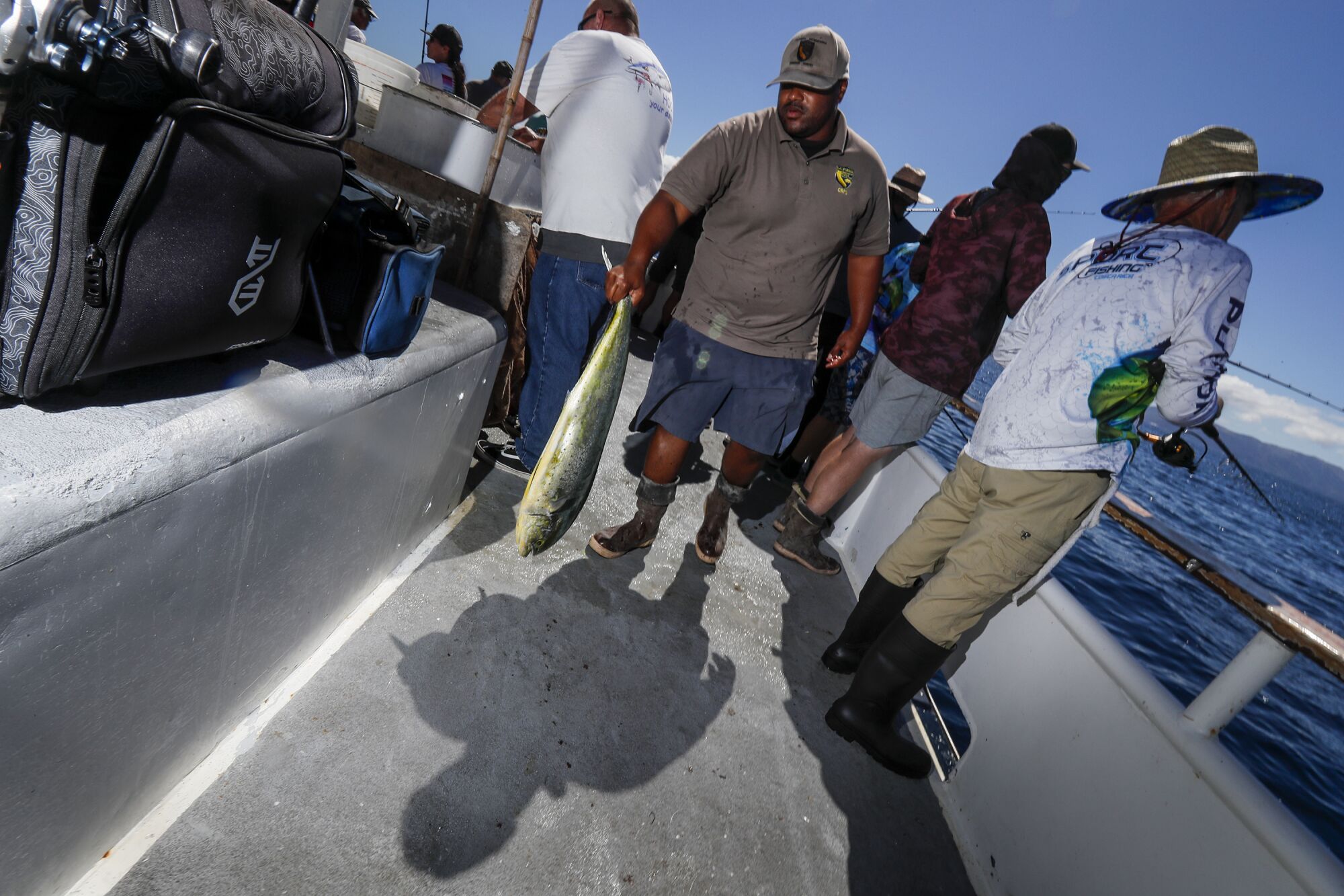 California Department of Fish and Wildlife official Marcus Fain carries a hooked Dorado to be measured and weighed.