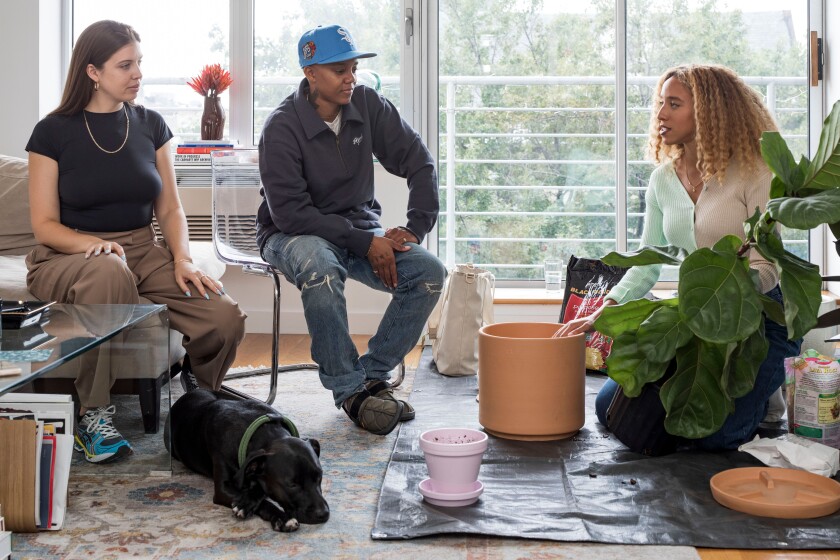 A plant care expert advises a couple, during a consultation at their home.