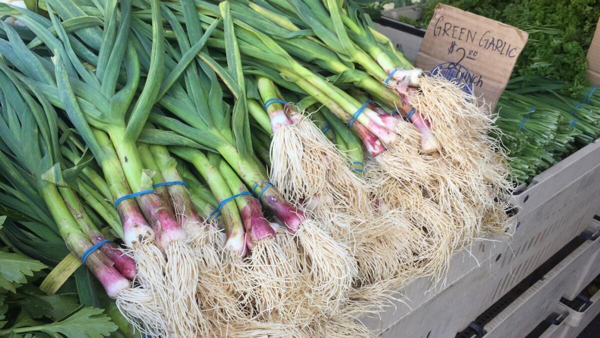 Bunches of green garlic spotted at the Thao Farms stand at the Hollywood Farmers Market this week.