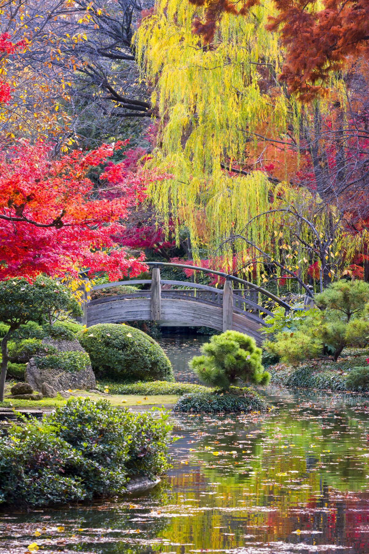 The colorful Fort Worth Japanese Garden is shown.