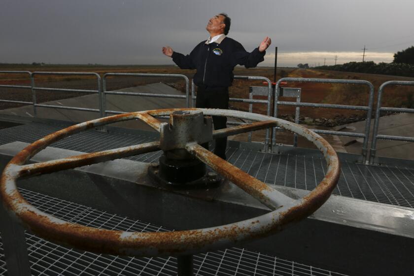 Gary Serrato, general manager of the Fresno Irrigation District, looks to the skies on a rare wet morning while he talks about the aquifer recharge project at the Boswell Groundwater Banking Facility, where water is "banked" in open, flat fields.