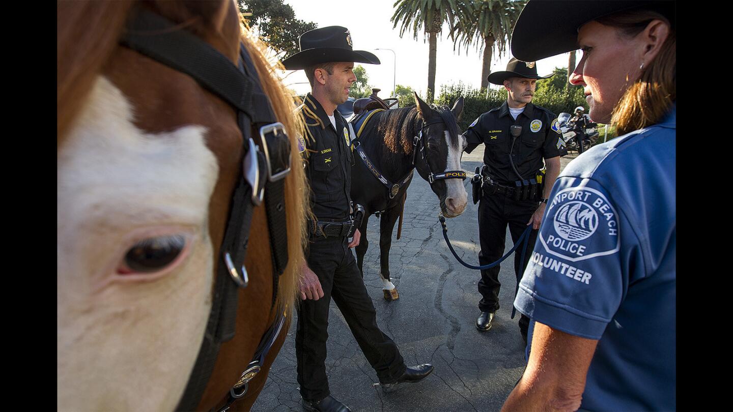 Newport Beach Police Officers Shawn Dugan, left, and Matthew Graham and volunteer Bonnie Davis talk on Sept. 13 about the horses they use as part of the Newport Beach police mounted unit. Cricket, left, is a 5-year-old quarter horse and Stogie is a 20-year-old quarter horse.