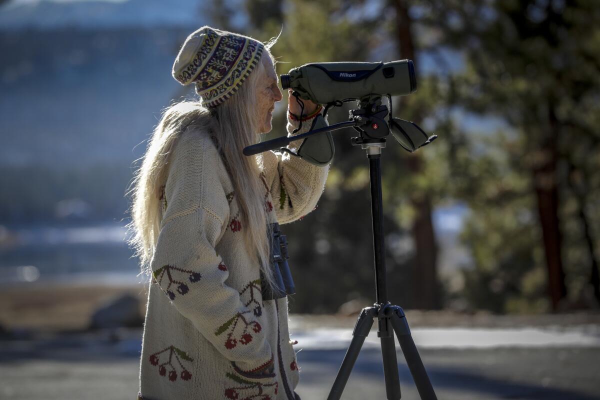 Sandy Steers, executive director of the nonprofit Friends of Big Bear Valley, trains her binoculars on a pair of nesting bald eagles while on an annual survey of the bald eagle population at Big Bear Lake.